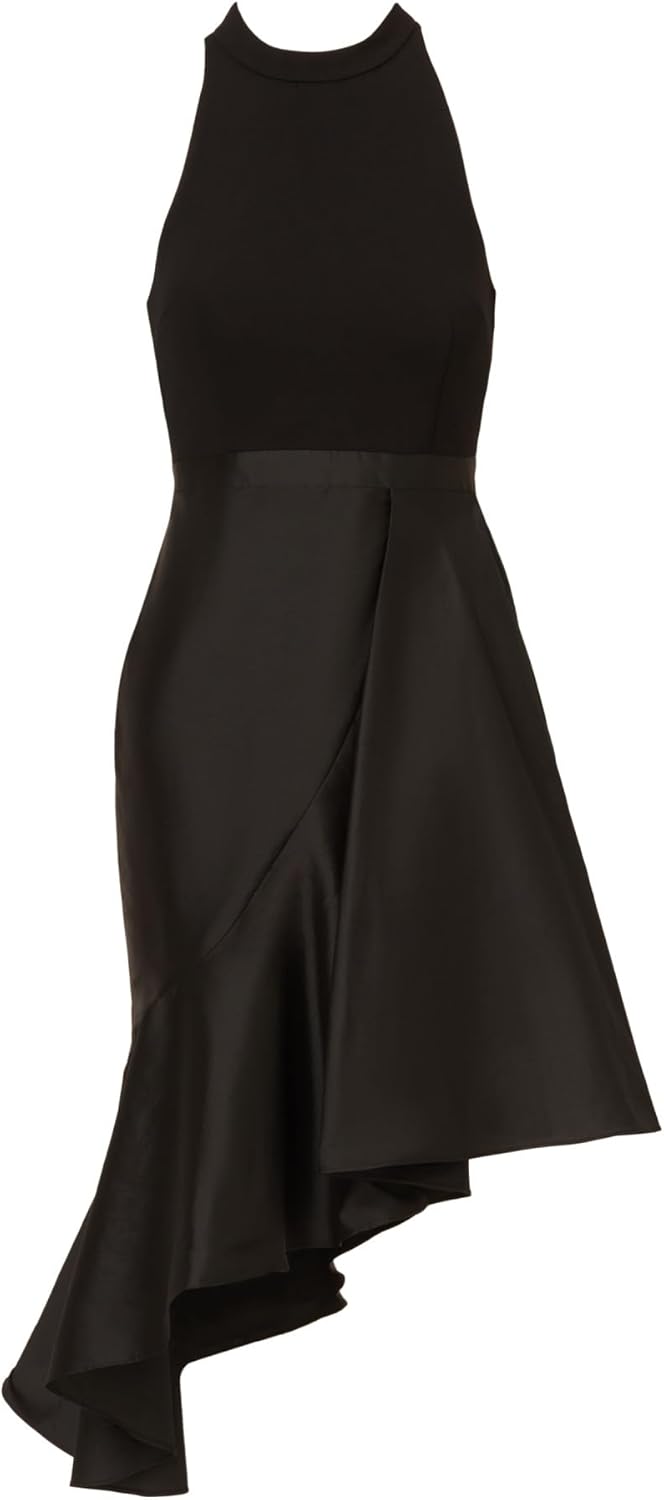 Adrianna Papell Crepe Combo Taffeta Dress